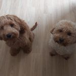 Sandra Daly - @sandrarussell38 - Instagram