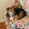 Sandra Daly - @sassy_daly - TikTok