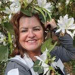Sandra Damiani - Facebook