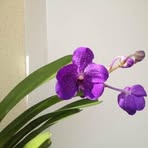 Sandra Damiani - Facebook