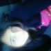 Sandra Dance - Facebook