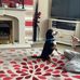 Sandra Dance - Facebook