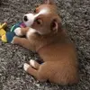Sandra C. Danielson - @sandracdanielson - TikTok