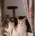 Sandra Dannenberg - Facebook