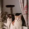Sandra Dannenberg - @sandra.dannenberg - TikTok