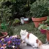 sandradannenberg7 - @sandradannenberg7 - TikTok