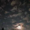 Sandra Dante - @sandra.dante8 - TikTok
