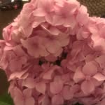 Sandra.dante - @sandra.dante - Instagram