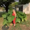 sandradarter - @sandradarter - TikTok