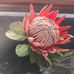 Sandra Davey - Facebook