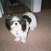 Sandra Davey - Facebook