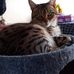 Sandra Davey - Facebook