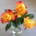 Sandra Davis - @imagesmarketplace - Instagram