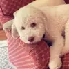 sandradavis833 - @sandradavis833 - TikTok