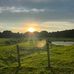 Sandy Decamp - Facebook