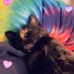 Sandra Dee - Facebook