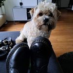 Sandra Dekker - @sandra.dekker.3150 - Instagram