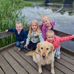 Sandra Dollenkamp - Dekker - @huisje.aan.het.veen31 - Instagram