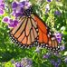 Sandra Dellinger - Facebook