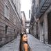 Sandra Thomas - Facebook