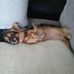 Sandra Denison - Facebook