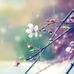 Sandra Denny - Facebook
