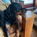 Sandy DePue - Facebook