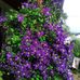 Sandy Detwiler - Facebook