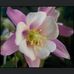 Sandra DeVault - Facebook