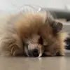 Sandra D - @sandradevaux3 - TikTok