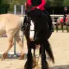 Sandrine Devaux - @sandrinedevaux - TikTok