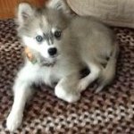Sandra Devoe - @lily1962 - Instagram