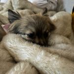 Sandra Dickens - @benjismom27 - Instagram