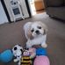 Sandra Dickenson - Facebook