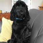 Sandra Dickenson - Facebook