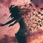 Sandra Diedrich - @sandradied - Instagram