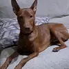 Sandra Diez - @sandra.diez2 - TikTok