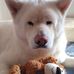 Sandra Diez - Facebook