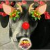 Sandra Diez Diez - Facebook