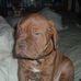 Sandra Dingman - Facebook