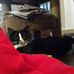 Sandy Dishman - Facebook