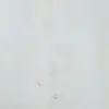 sndraadl🌻 - @sandradoang - TikTok