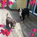 Sandra Doane - Facebook