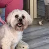 sandradoherty57 - @sandradoherty57 - TikTok
