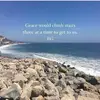 sandradonnan625 - @sandradonnan625 - TikTok