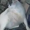 Sandra Dopp - @sandra.dopp4 - TikTok