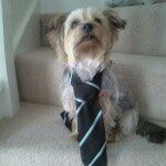 Sandra Dorney - @scoliedog - Instagram