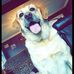 Sandra Dorney - Facebook