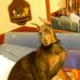 Sandra Dorton - Facebook