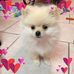 Sandra Doss - Facebook